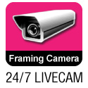 View Framing Camera