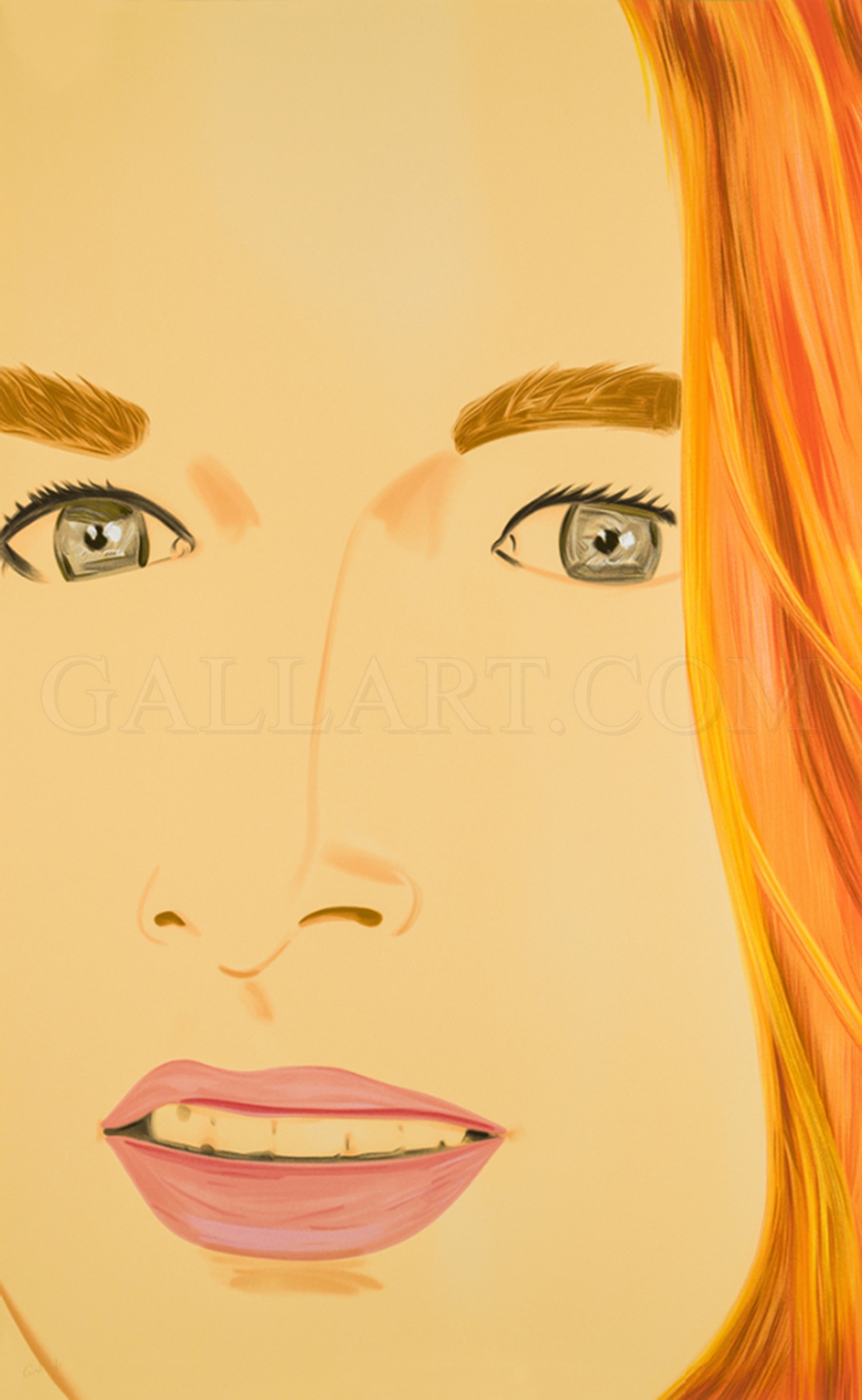  Alex Katz - Ariel 2