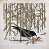  CHARLEY HARPER - CROW IN THE SNOW