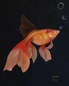  PEREZ ARMANDO - The Goldfish