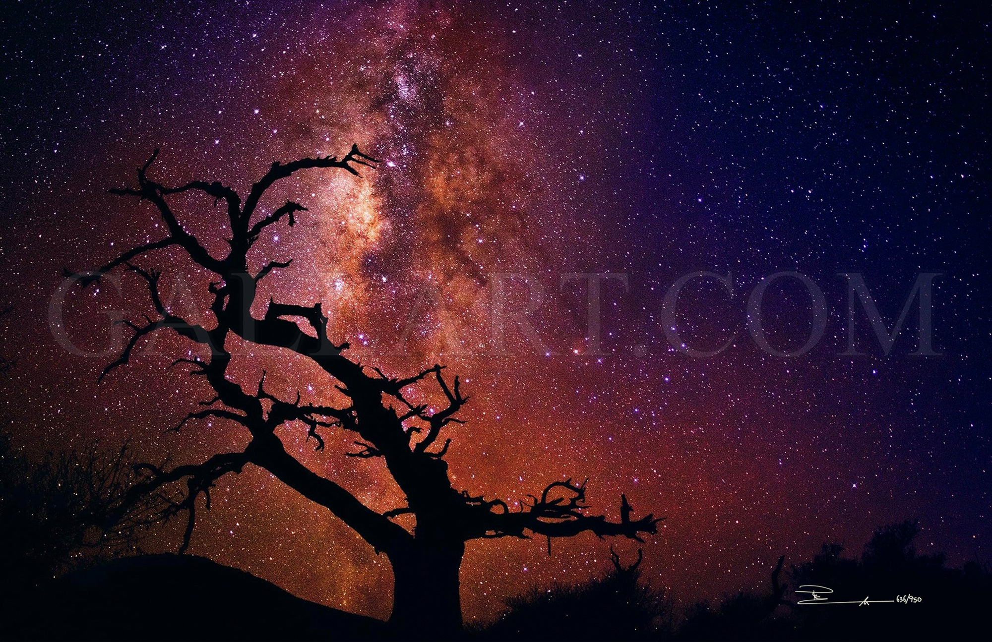 slider-gallery-img