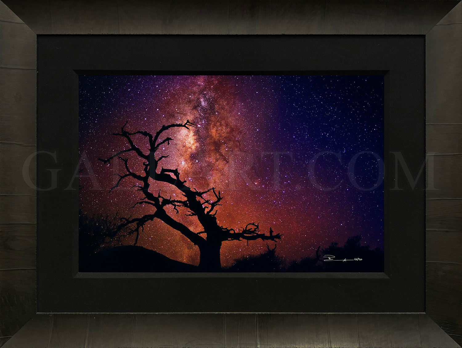 slider-gallery-img