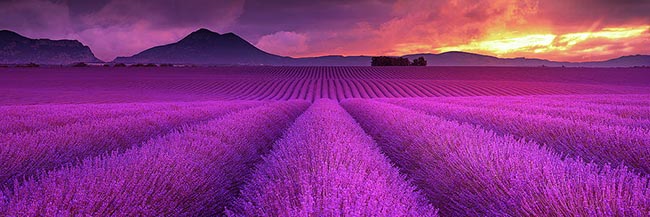 slider-gallery-img