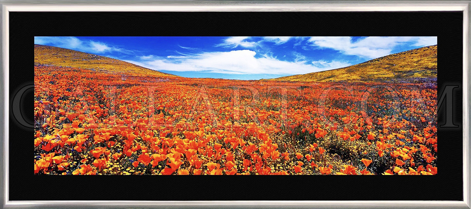 slider-gallery-img