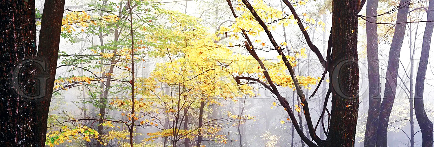 slider-gallery-img