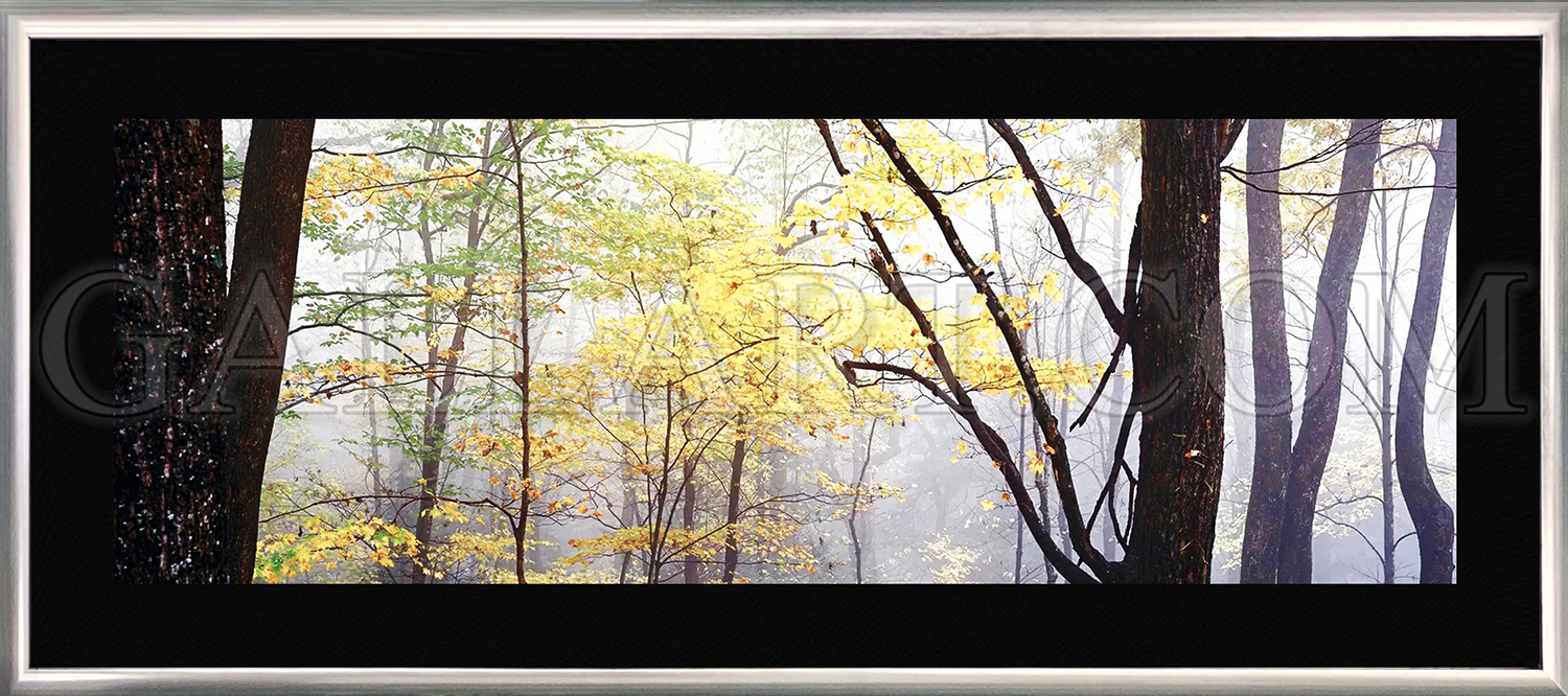 slider-gallery-img